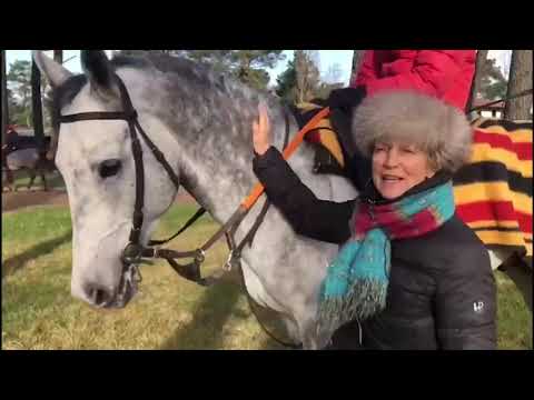 Hajres partant de l obaiya arabian Classic