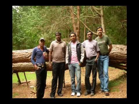 Evergreen never go relation