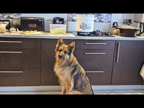 ROBIMY Z ARESEM ZUPĘ 🥣