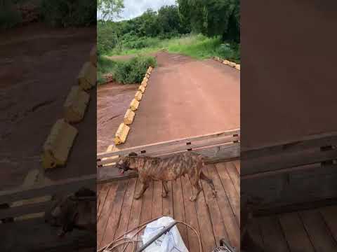 Rio corvo São José das Palmeiras Paraná