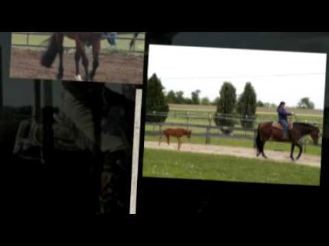 Miss Boston Playgirl