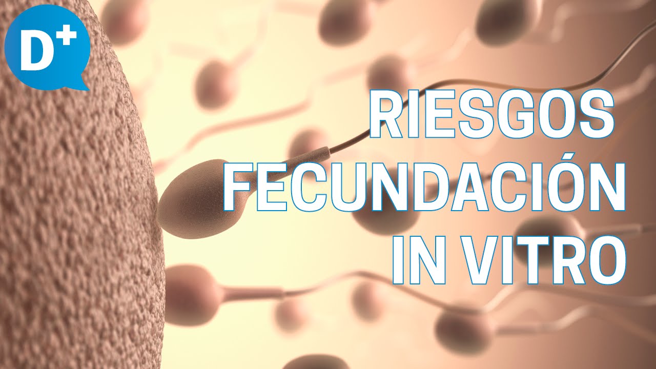 Watch Riesgos de la fecundación in vitro Now Riesgos de la fecundación in vitro