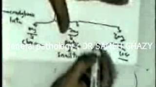 general pathology 23:  syphilis2  DR SAMEH GHAZY