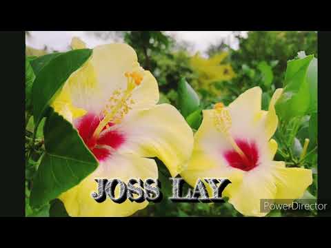 HOU OFA E FUFU Joss Lay &Onole Malivao