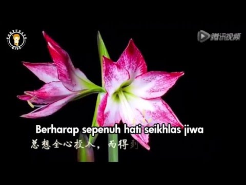 Letih Novyj Trend Smotret Onlajn Na Sajte Trendovi Ru