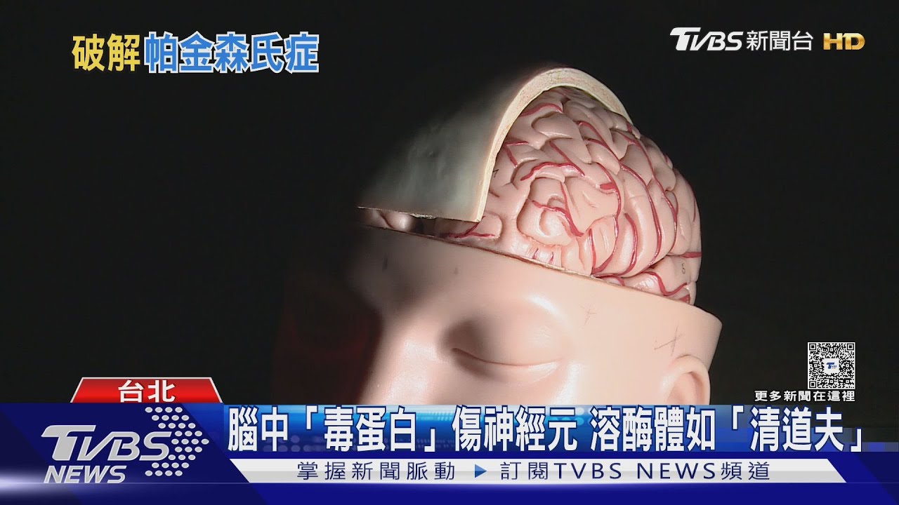 陽交大團隊研究10年 破解帕金森氏症之謎 溶酶體如「毒蛋白清道夫」