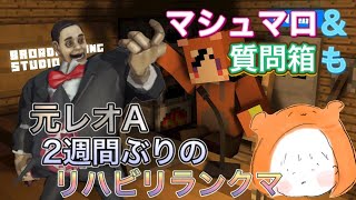【第五人格】元レオA 花婿当てたので少しだけやる気出ました【identity V】【アイデンティティファイブ】