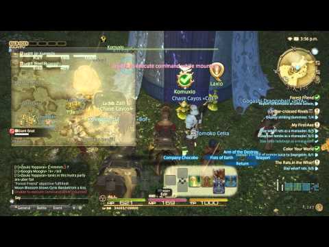 Tales of Eorzea ( A Let's Play) EP 4: Stalkers