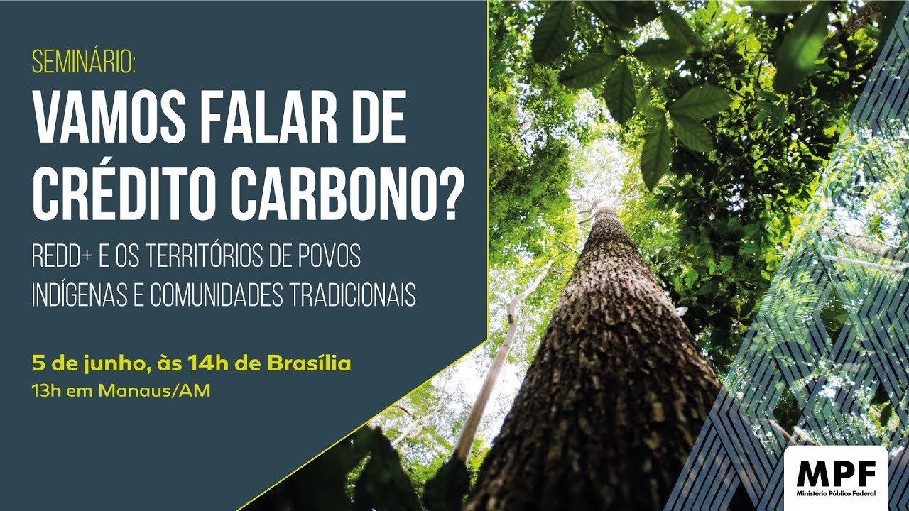 Vamos falar de crédito carbono? REDD+ e os territórios de povos indígenas e comunidades tradicionais