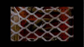 Joe Cocker-First We Take Manhattan