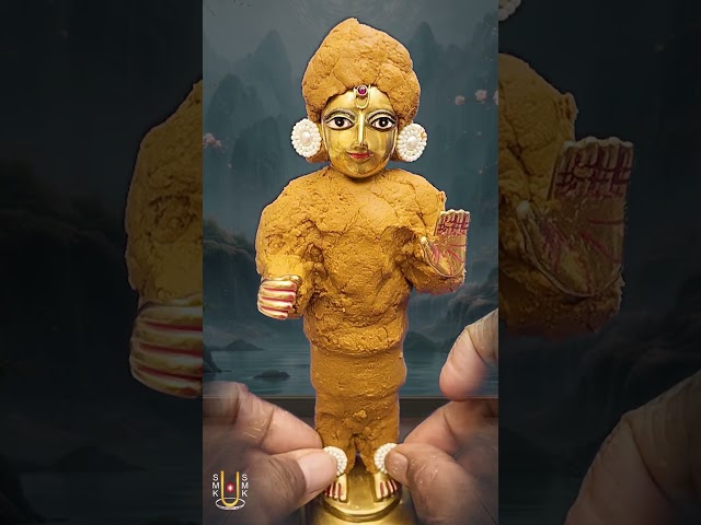 હરિકૃષ્ણ મહારાજ