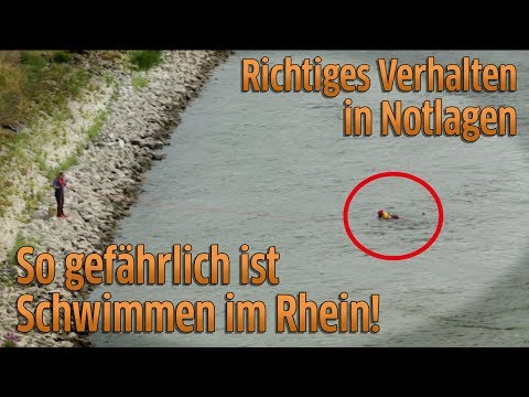 Köln: Badeunfälle im Rhein - Wasserschutzpolizei warnt vor Schwimmen im Fluss