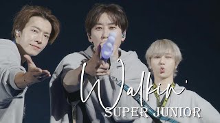 SUPER JUNIOR WALKIN&#39; SS9 IN JAPAN 日本场