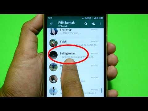 Obat tradisional Rusia untuk potensi Selenium untuk potensi laki-laki