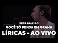 Zeca Baleiro - Você só pensa em grana (Líricas) [Ao Vivo]