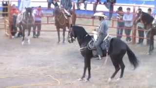 preview picture of video 'Concurso de baile de caballos CARBAJAL texcaltitlan'