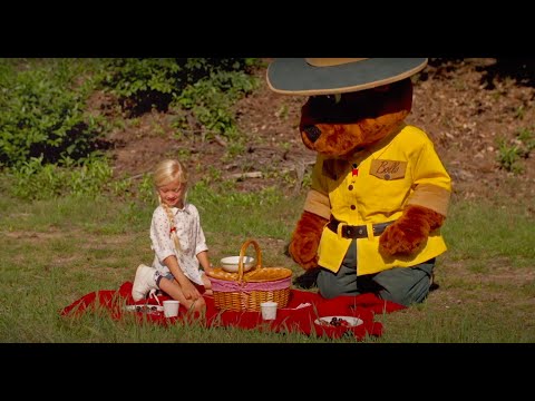 De Picknickmand - De Avonturen van Bollo (Seizoen 1)