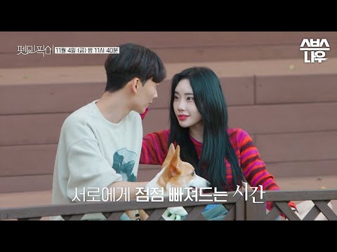 [예고] 펫미픽미에서만 볼 수 있는 단체 데이트! 점점 깊어져가는 관계 속 그들의 진심은? #펫미픽미 #petmepickme | SBSNOW