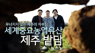 무너지지 않는 제주의 자부심, 세계중요농업유산 제주 밭담