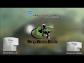 The Ninja Grass Blade FISH ANYWHERE WEEDED OR SHALLOW