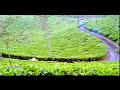 Singalathu Chinna Kuyile|1080p HD|Punnagai Mannan