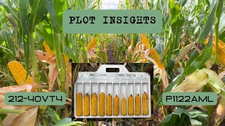 Plot Insights 212-40VT4 vs P1122AML
