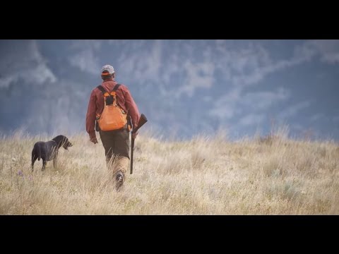 ORVIS Presents: UPLANDER - An Upland Hunting Love Story.