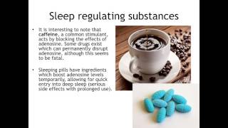 Biological Approach to Sleep and Dreams