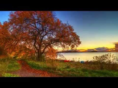 Bài tango cho mùa thu - Hồng Tước