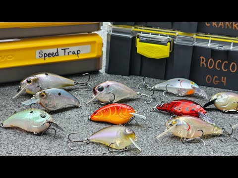 Everything You Need To Know About Squarebills and Shallow Crankbaits! (Full Seminar)