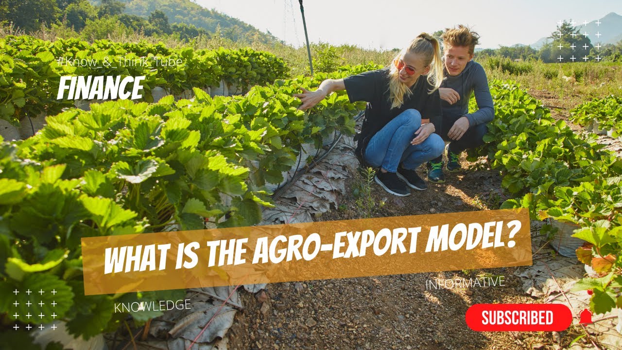 Agro-exporter Model 👌 : What is the agro export model, causes & consequences 🔥 #Finance