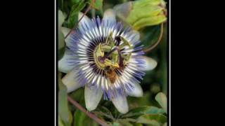 lorenzo cherubini da raccontarti all'alba