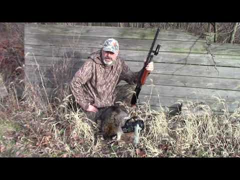 Daytime Raccoon Calling with Chad Millner.