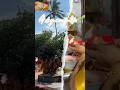 Adayinmylife Day24 Aainasong Odiasong Trending Viral Youtube Youtubeshort Song