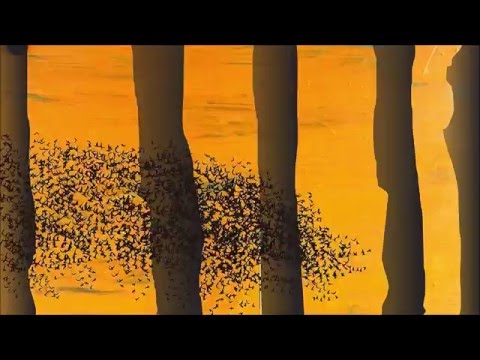 GUADI GALEGO - CHEA DE VIDA