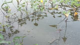 Fishing adventures #fishing