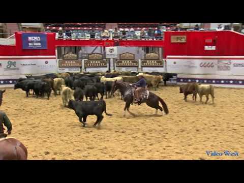 Metallic Boon San - 2017 NCHA Futurity - AM Futurity 1st Go
