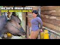 CEWEK CANTIK DISEKAP ANAK BUAHNYA DAN PREMAN KAMPUNG KARENA SAKIT HATI LALU DATANG PENDEKAR SAKTI