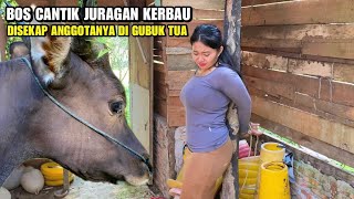 Download lagu CEWEK CANTIK DISEKAP ANAK BUAHNYA DAN PREMAN KAMPUNG KARENA SAKIT HATI LALU DATANG PENDEKAR SAKTI.! mp3