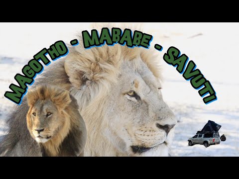Magotho to Savuti | Episode 2 | BOTSWANA | 2025