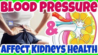 How HIGH BLOOD PRESSURE May Affect Your KIDNEY HEALTH? What Can YOU Do to Keep Your Kidney HEALTHY?