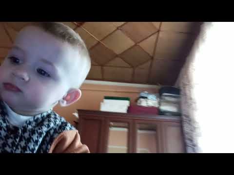 24 декабря 2023 г.