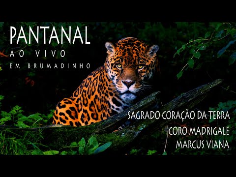 Pantanal (ao vivo) - Sagrado Coração da Terra, Marcus Viana e Côro Madrigale