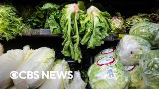 How this summer's food recalls compare to past years