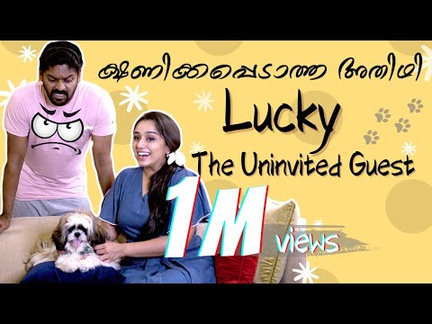ക്ഷണിക്കപ്പെടാത്ത അതിഥി Lucky -The Uninvited Guest | Vidhu Prathap | Deepthi | SketchVideo