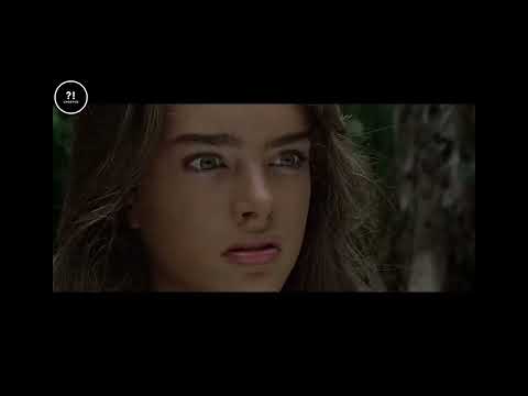 Ungewiss.fp | sind gestrandet auf einer Insel und begehen das unberechenbare