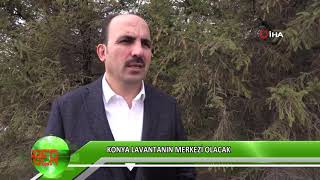Konya lavantanın merkezi olacak