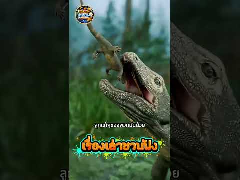 ลูกโคโมโดเกิดมาก็ต้องหนี 😳
