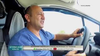 VETERİNER HEKİM GÜNLÜĞÜ | Veteriner Hekimlikte Hasta Muayenesi Ve Tedavisi