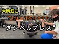 ダンベルプレス~トレーニング紹介【フィットザトップ24秋田茨島店】